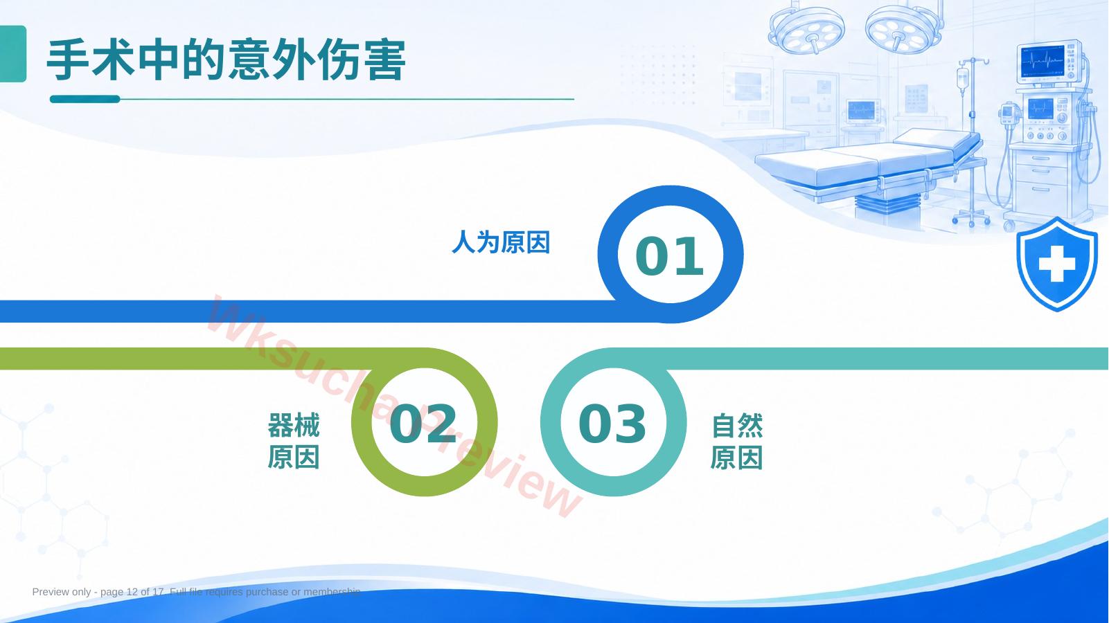 预览第 12 页