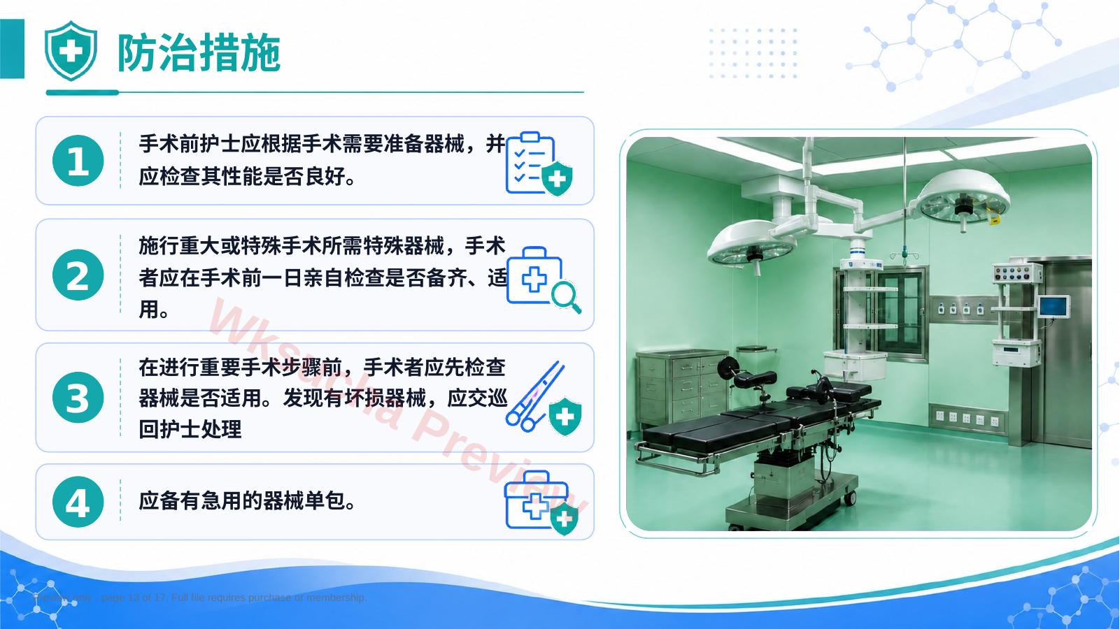 预览第 13 页
