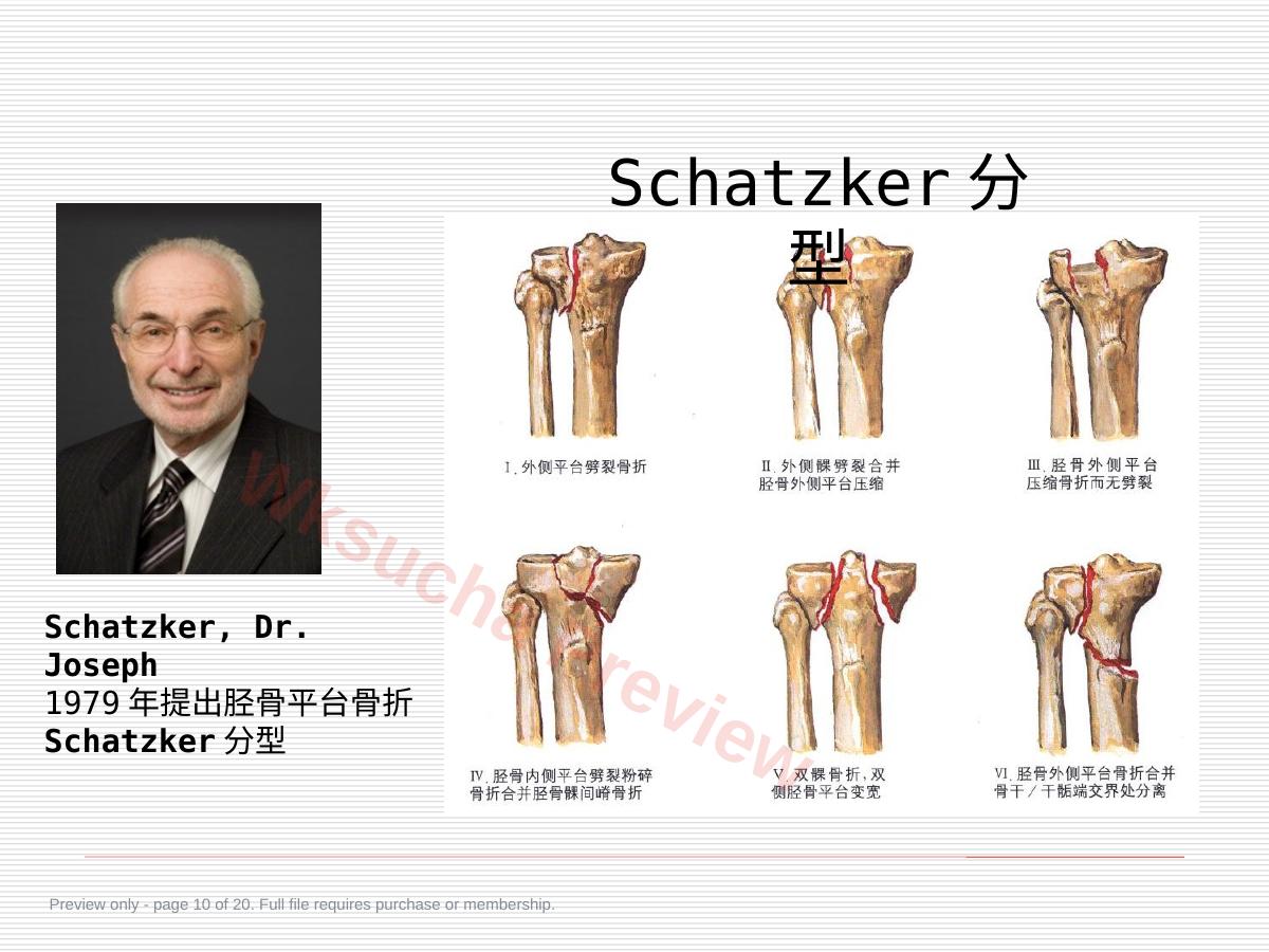 预览第 10 页
