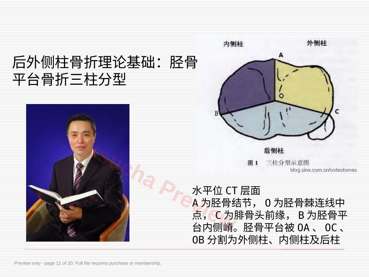 预览第 11 页