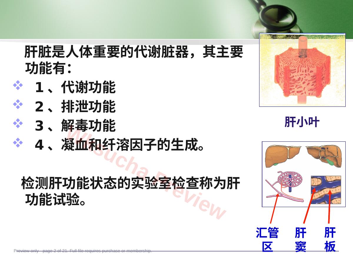 预览第 2 页