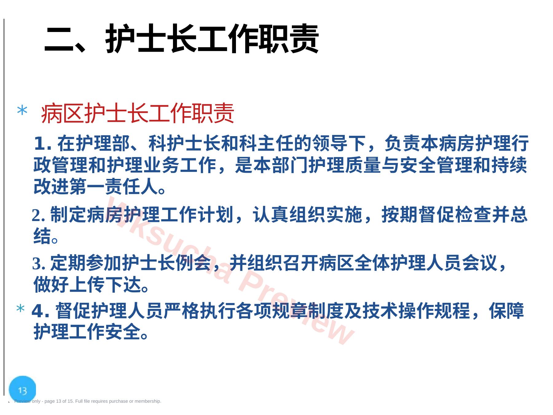 预览第 13 页