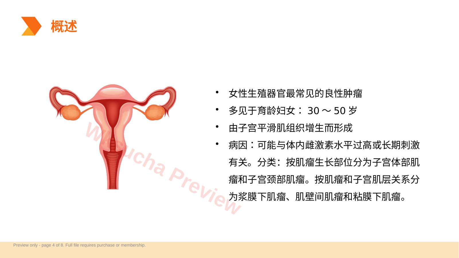 预览第 4 页