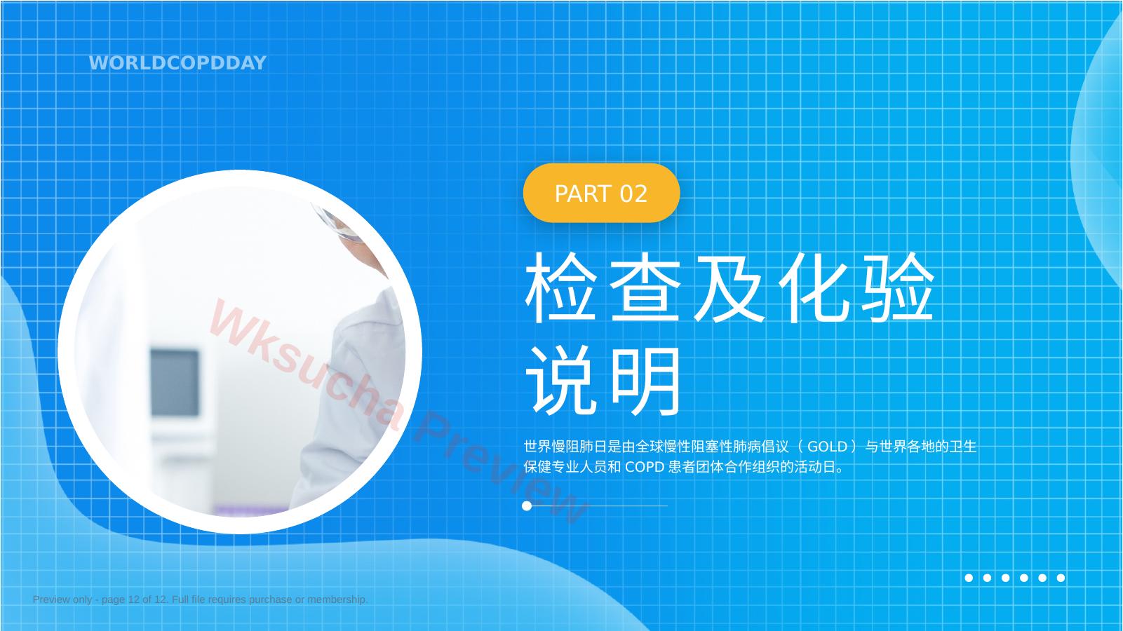 预览第 12 页