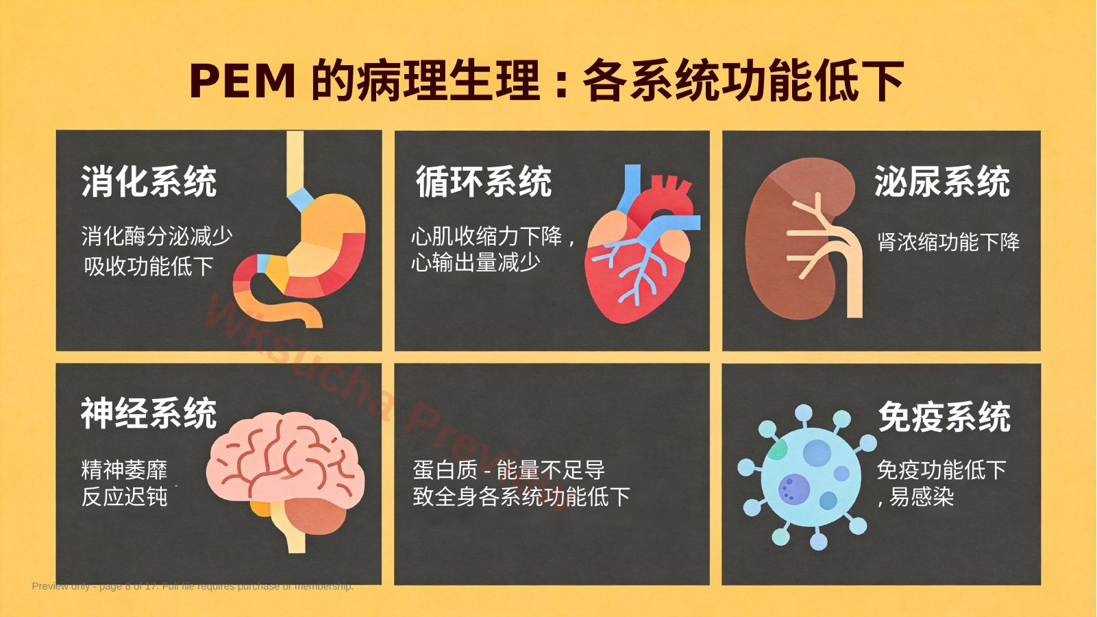 预览第 8 页