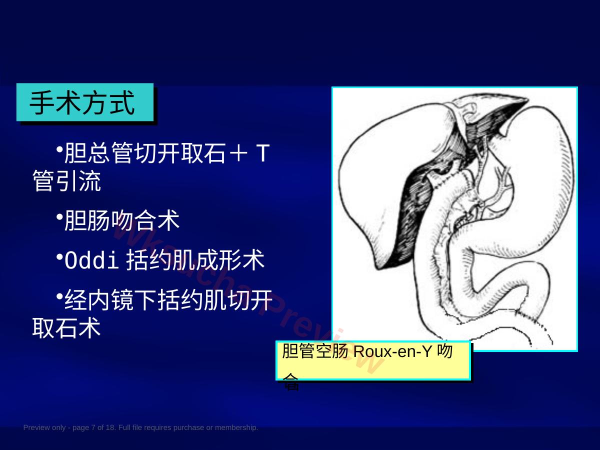 预览第 7 页