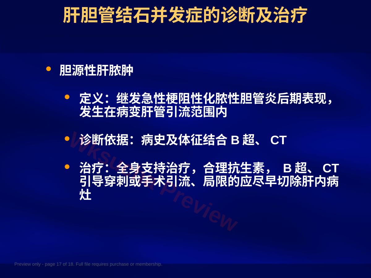 预览第 17 页