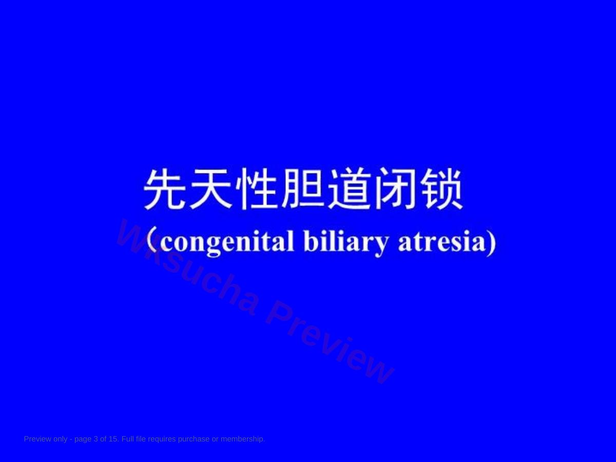 预览第 3 页
