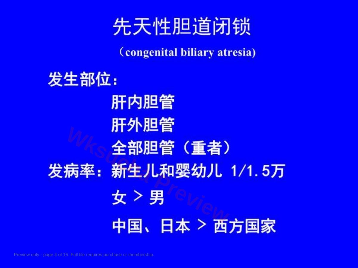 预览第 4 页