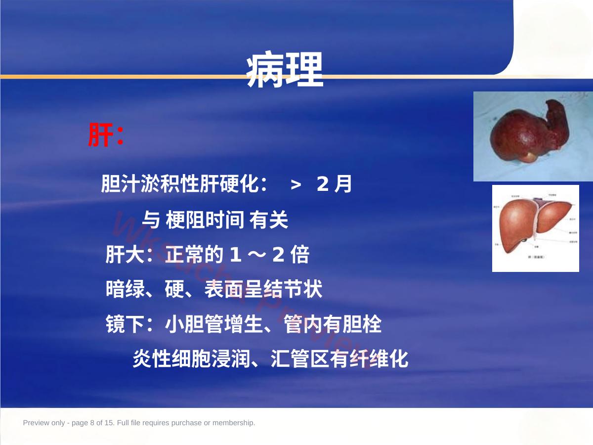 预览第 8 页
