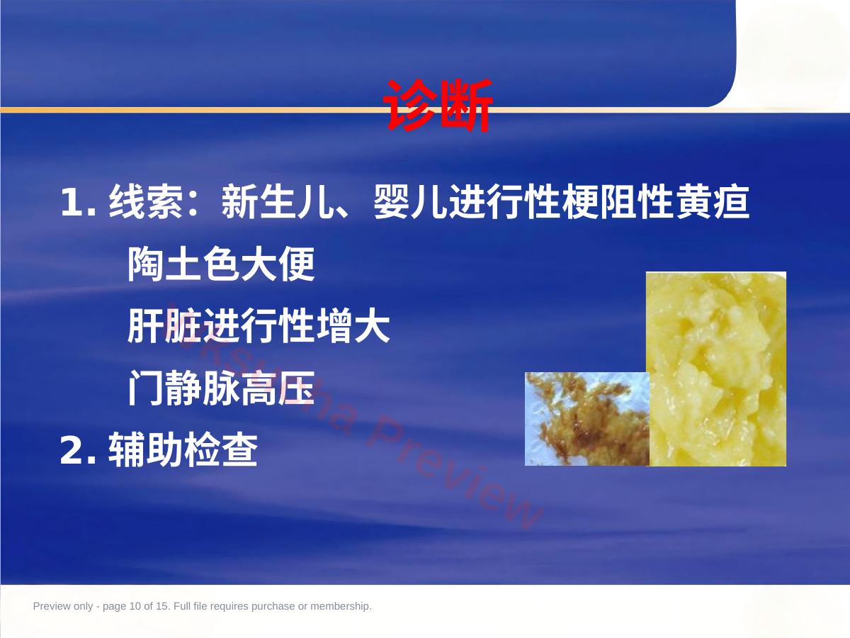 预览第 10 页