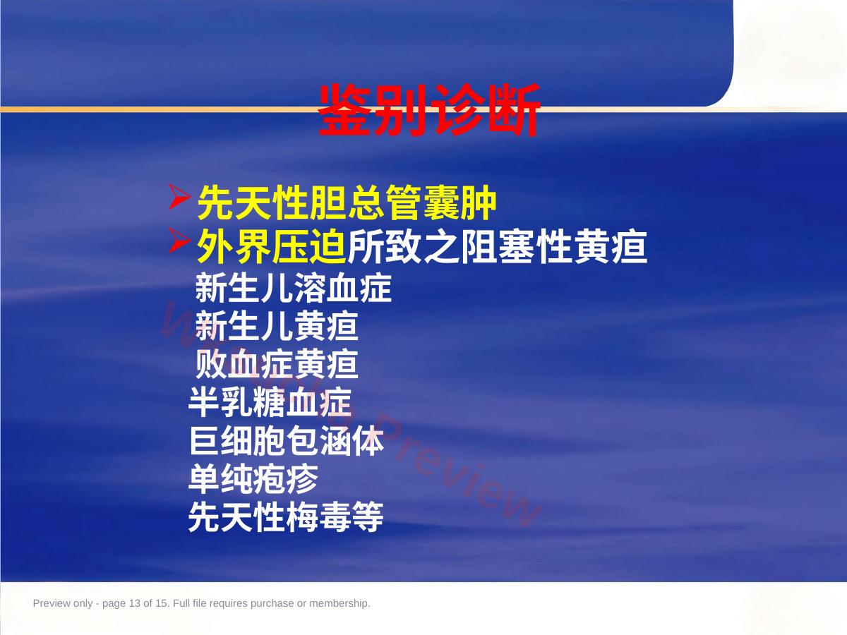 预览第 13 页