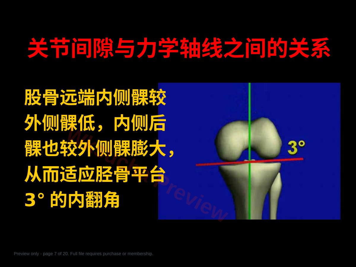 预览第 7 页