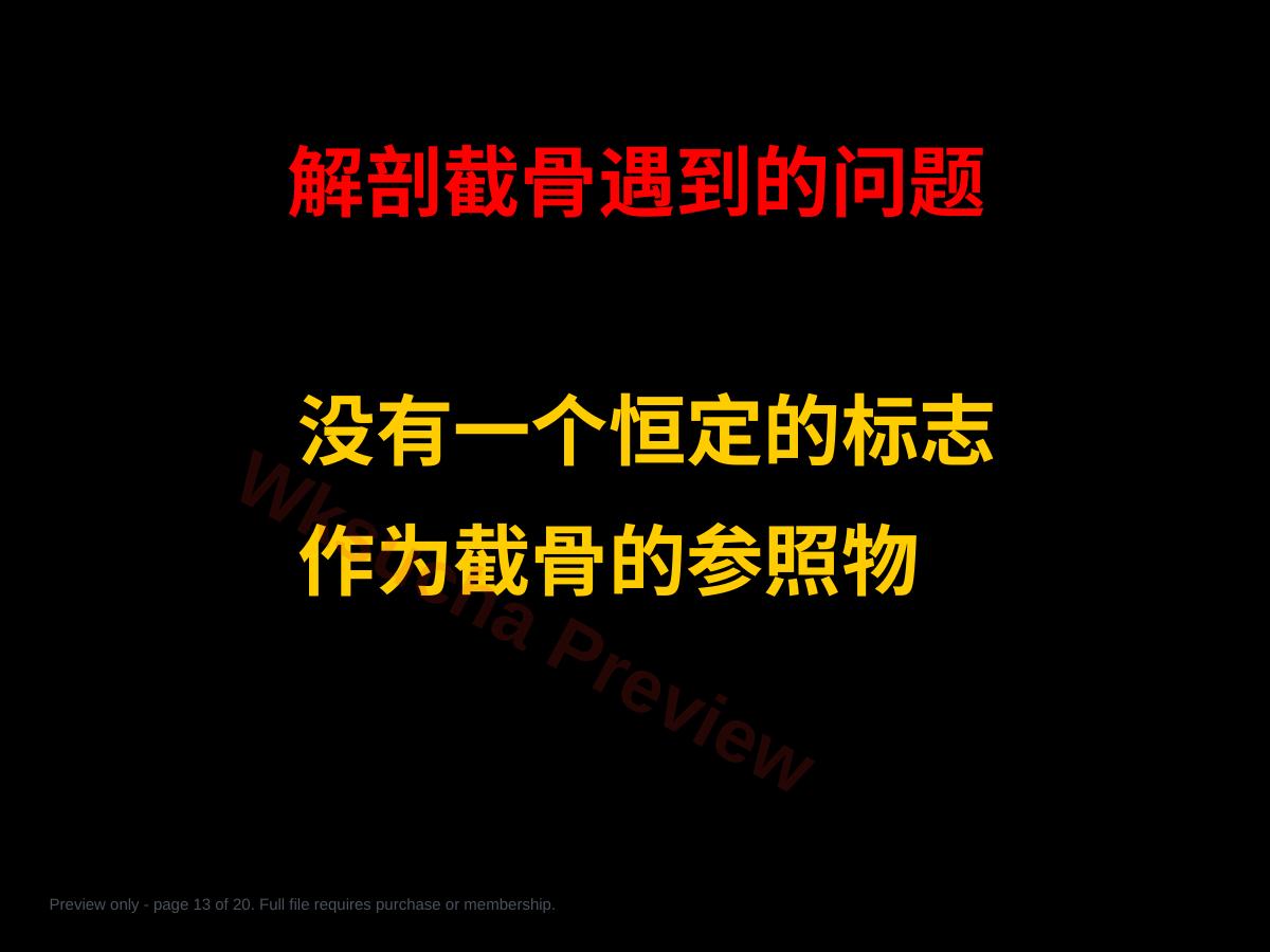 预览第 13 页