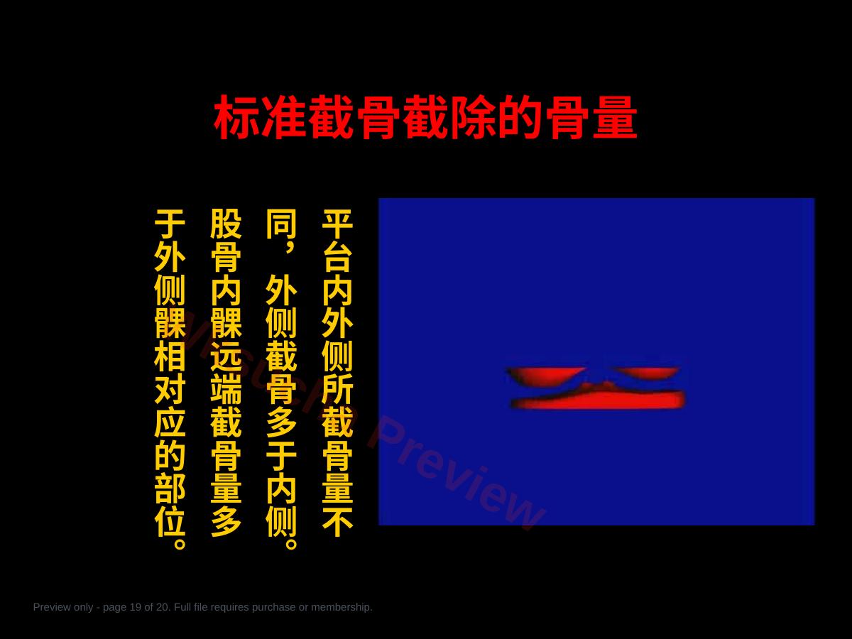预览第 19 页