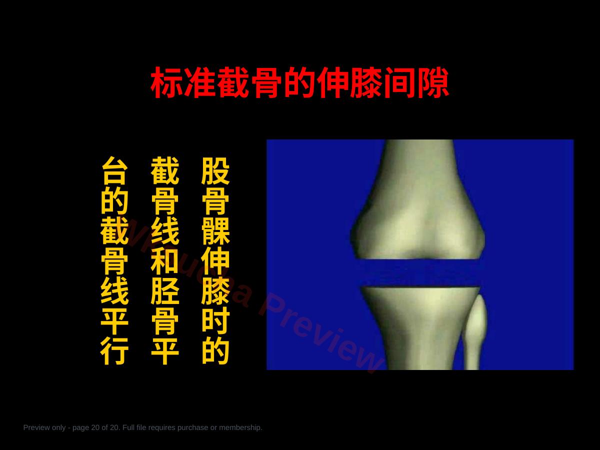 预览第 20 页