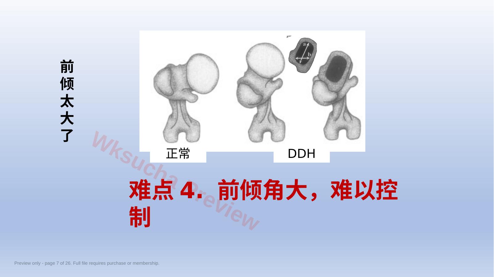 预览第 7 页