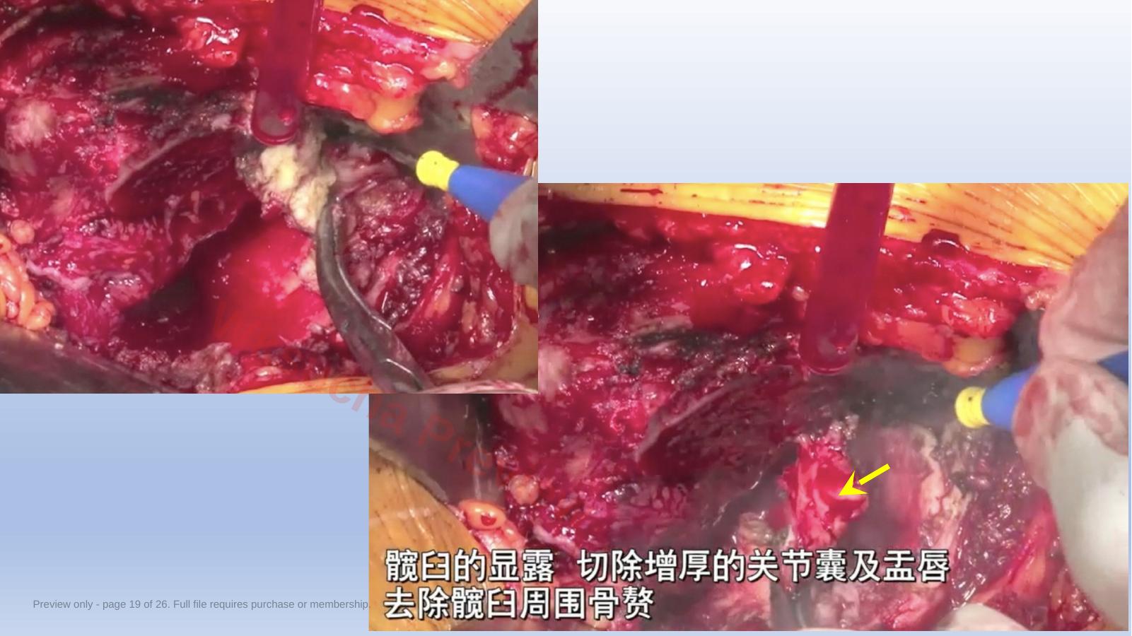 预览第 19 页