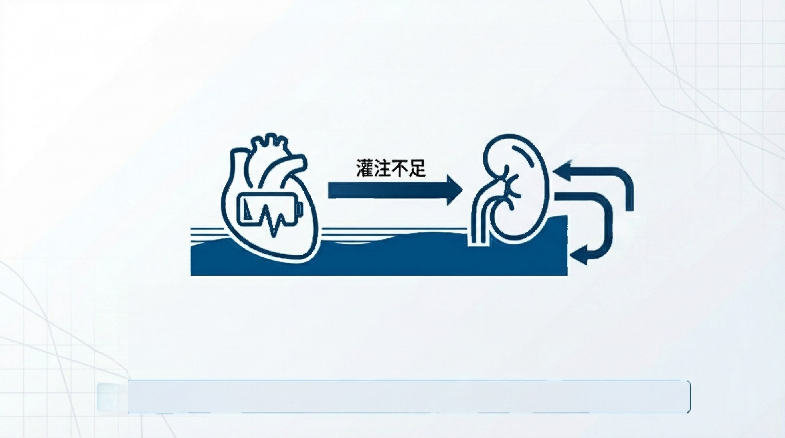 预览第 3 页