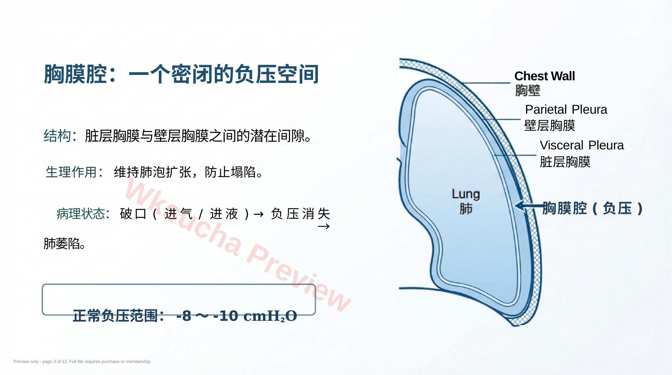 预览第 3 页