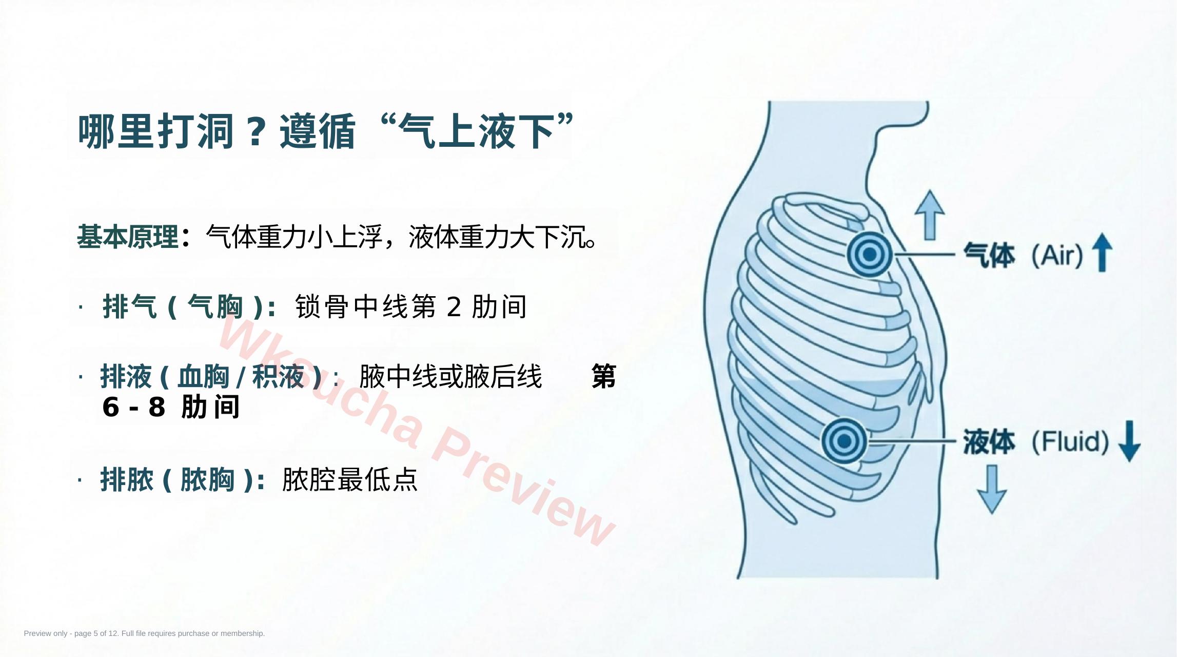 预览第 5 页