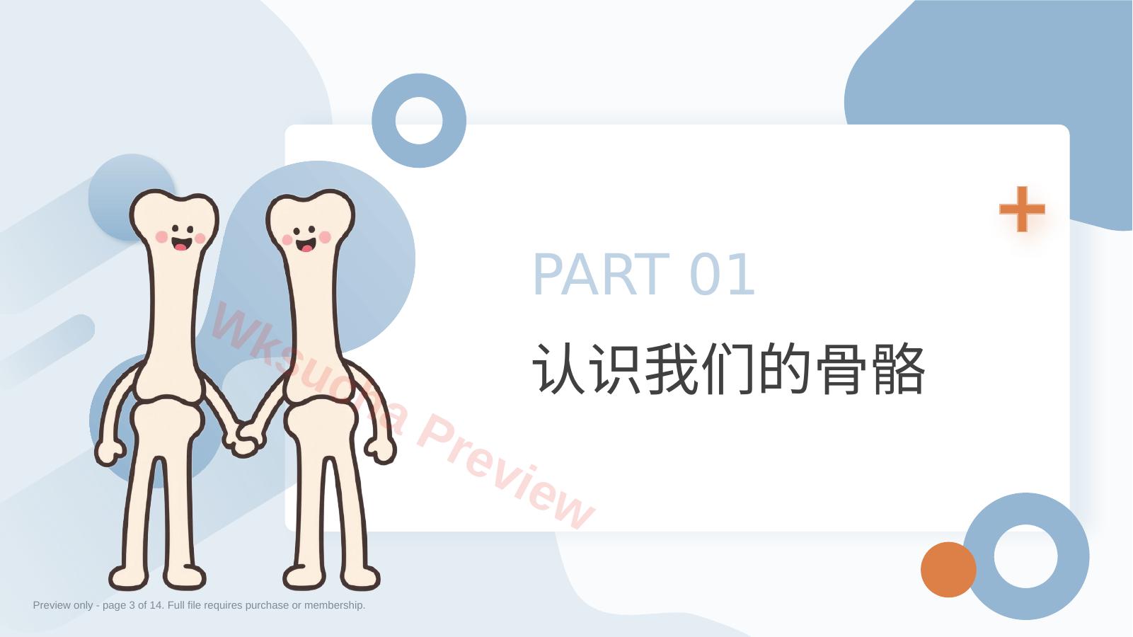 预览第 3 页