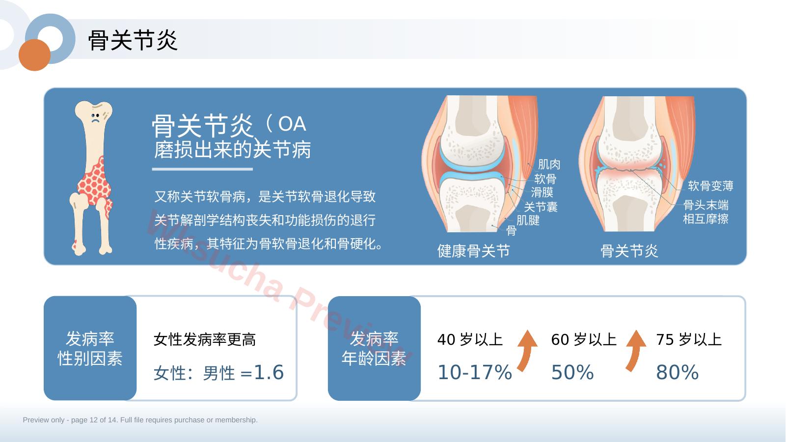 预览第 12 页