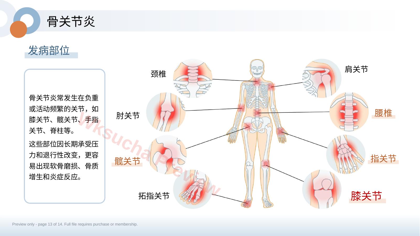 预览第 13 页
