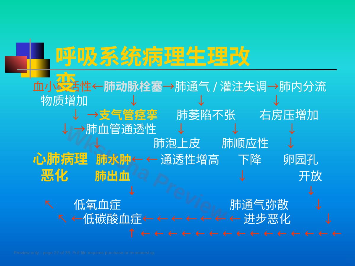 预览第 22 页
