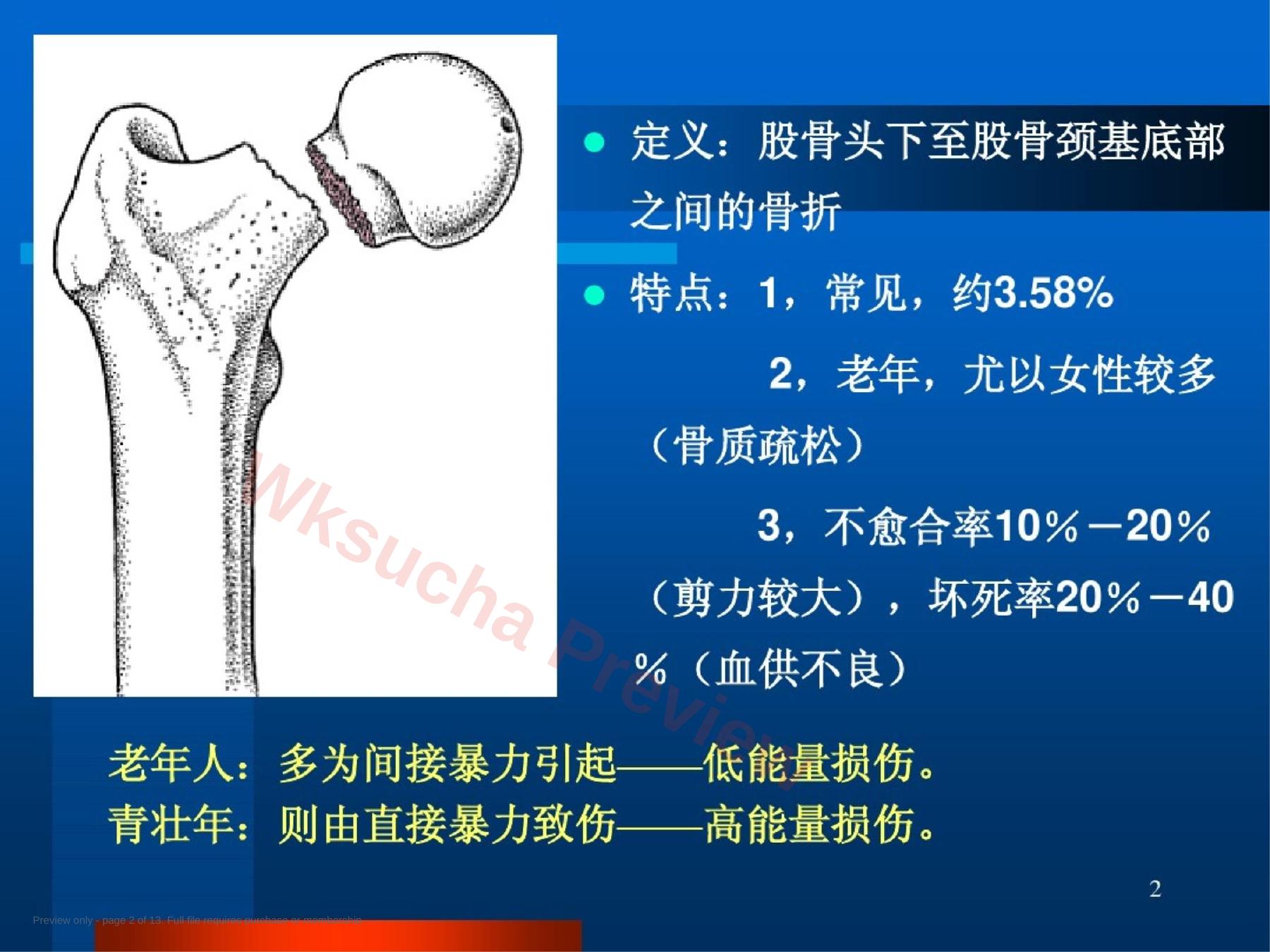 预览第 2 页
