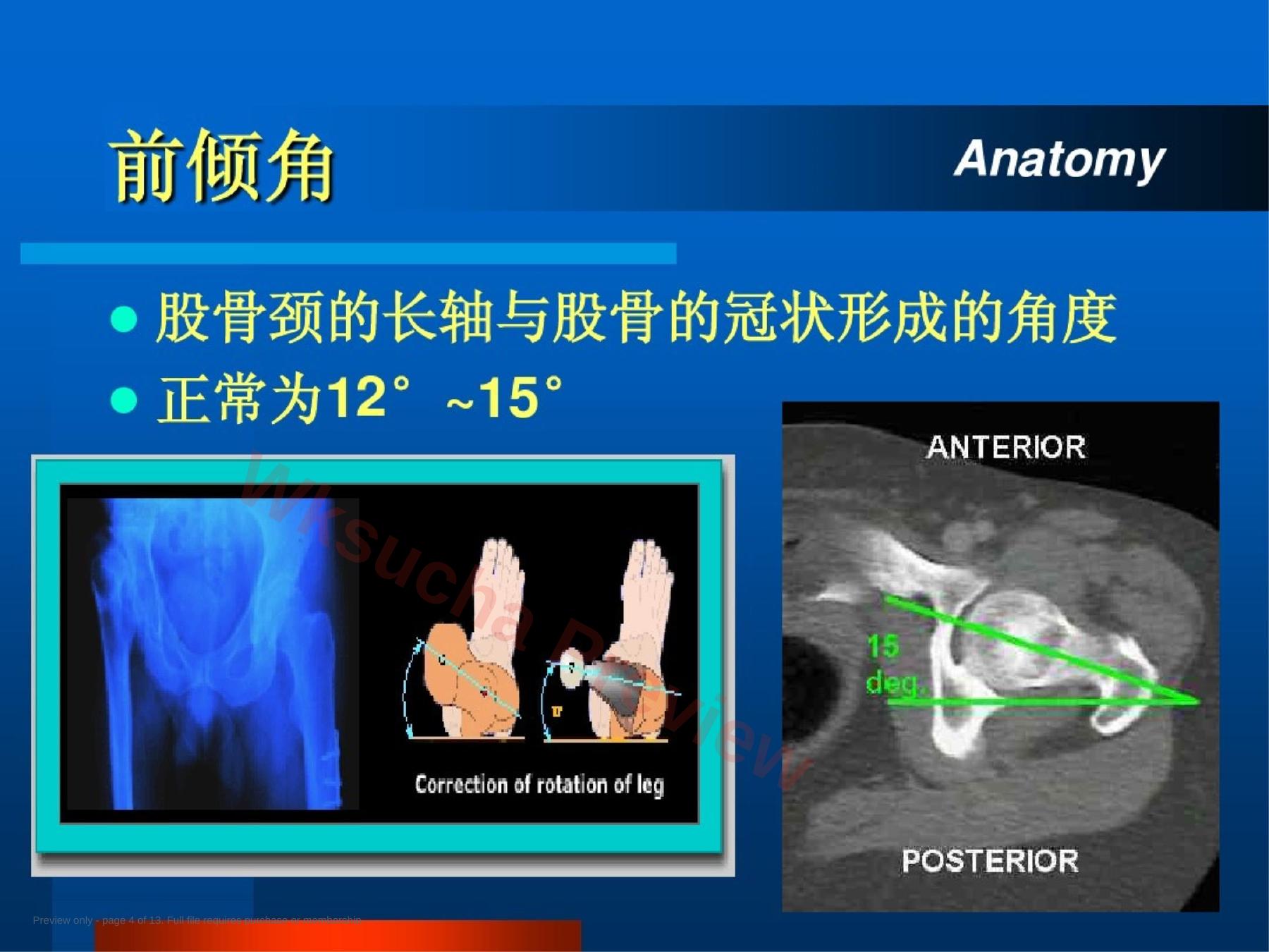 预览第 4 页