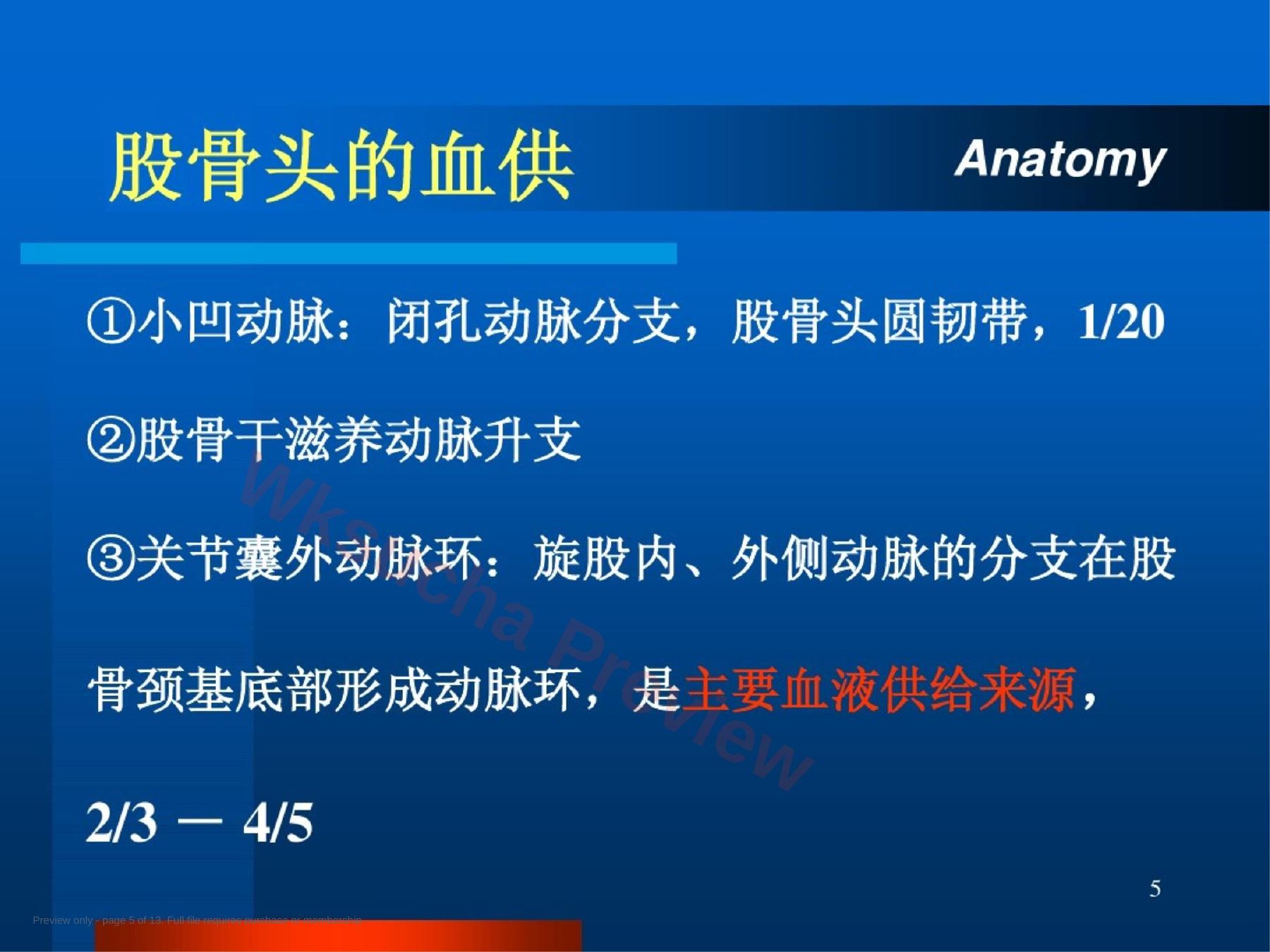 预览第 5 页