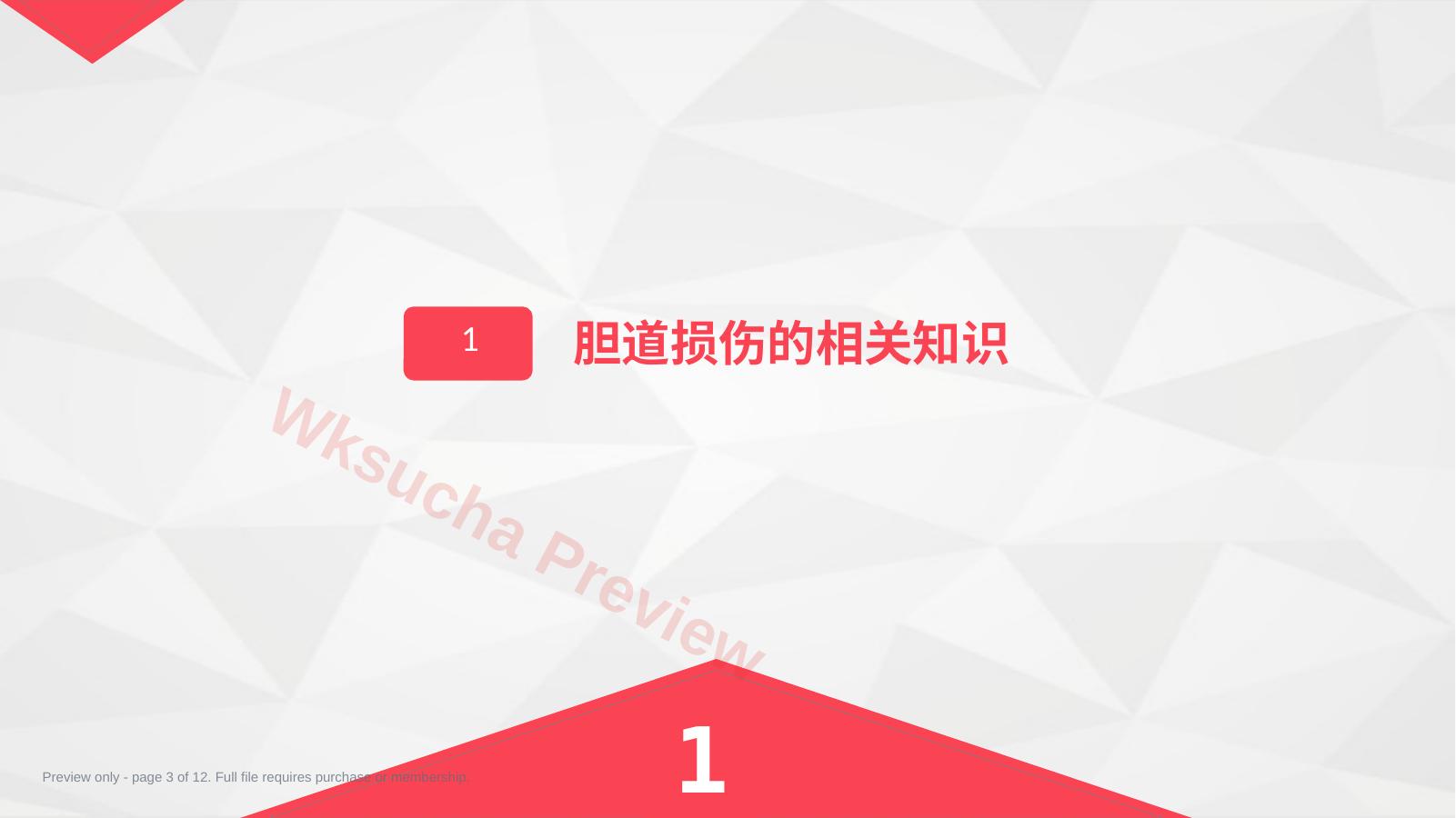 预览第 3 页