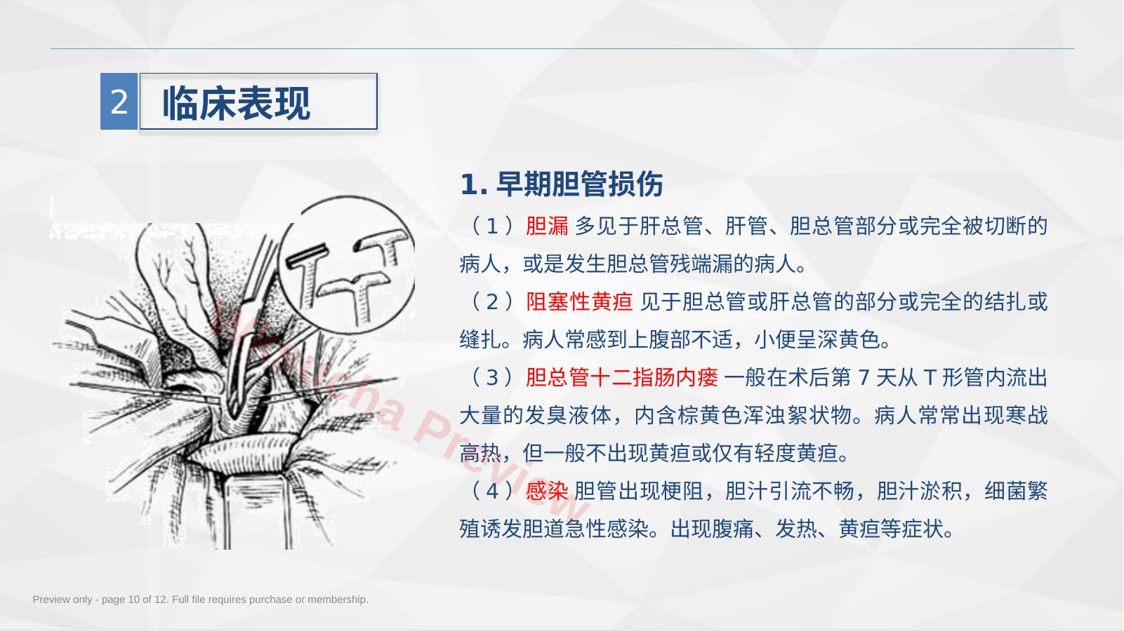 预览第 10 页