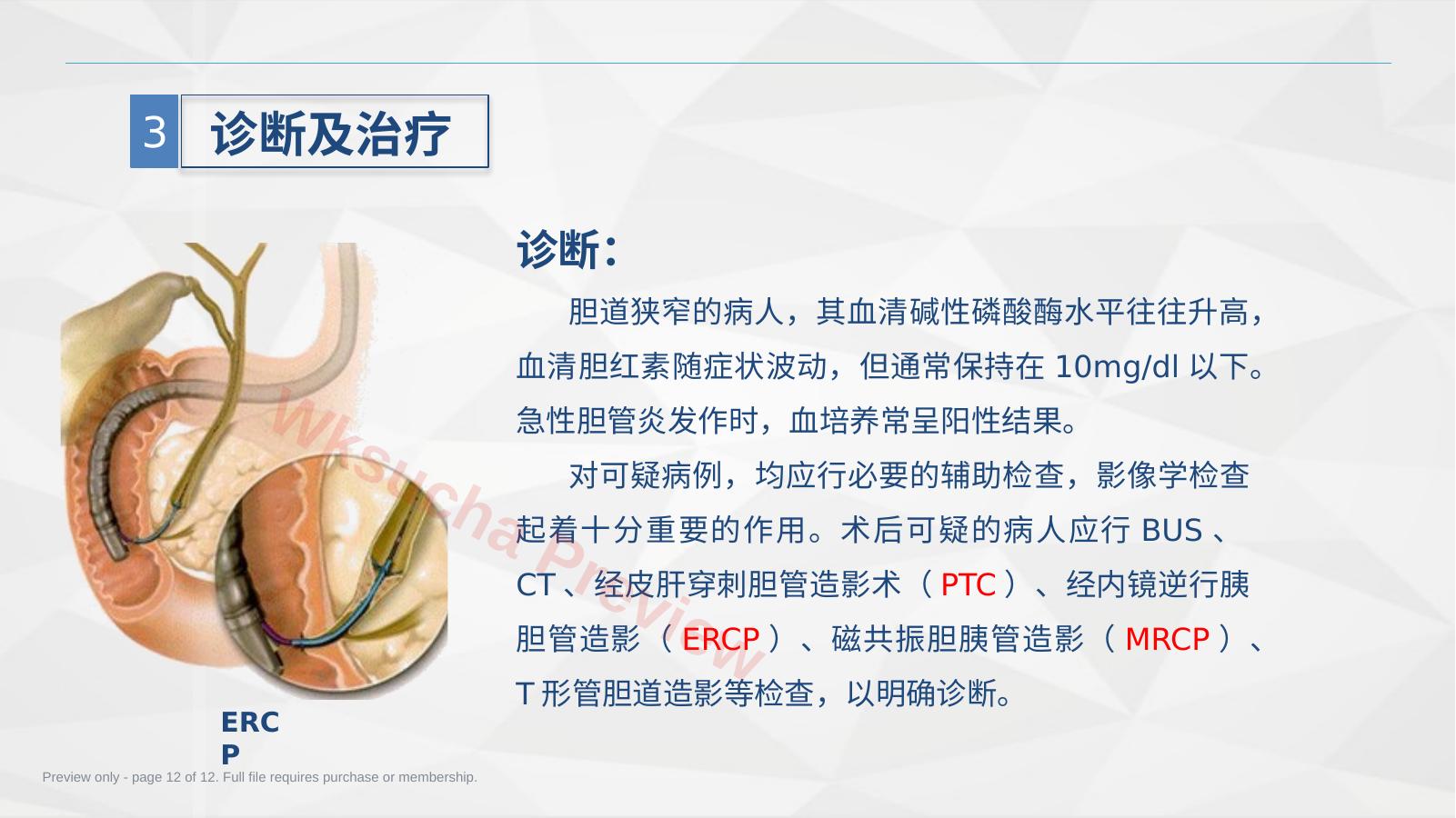 预览第 12 页