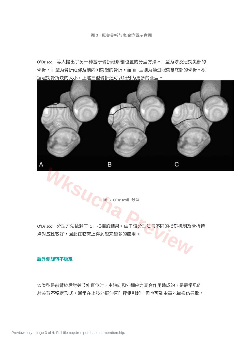 预览第 3 页