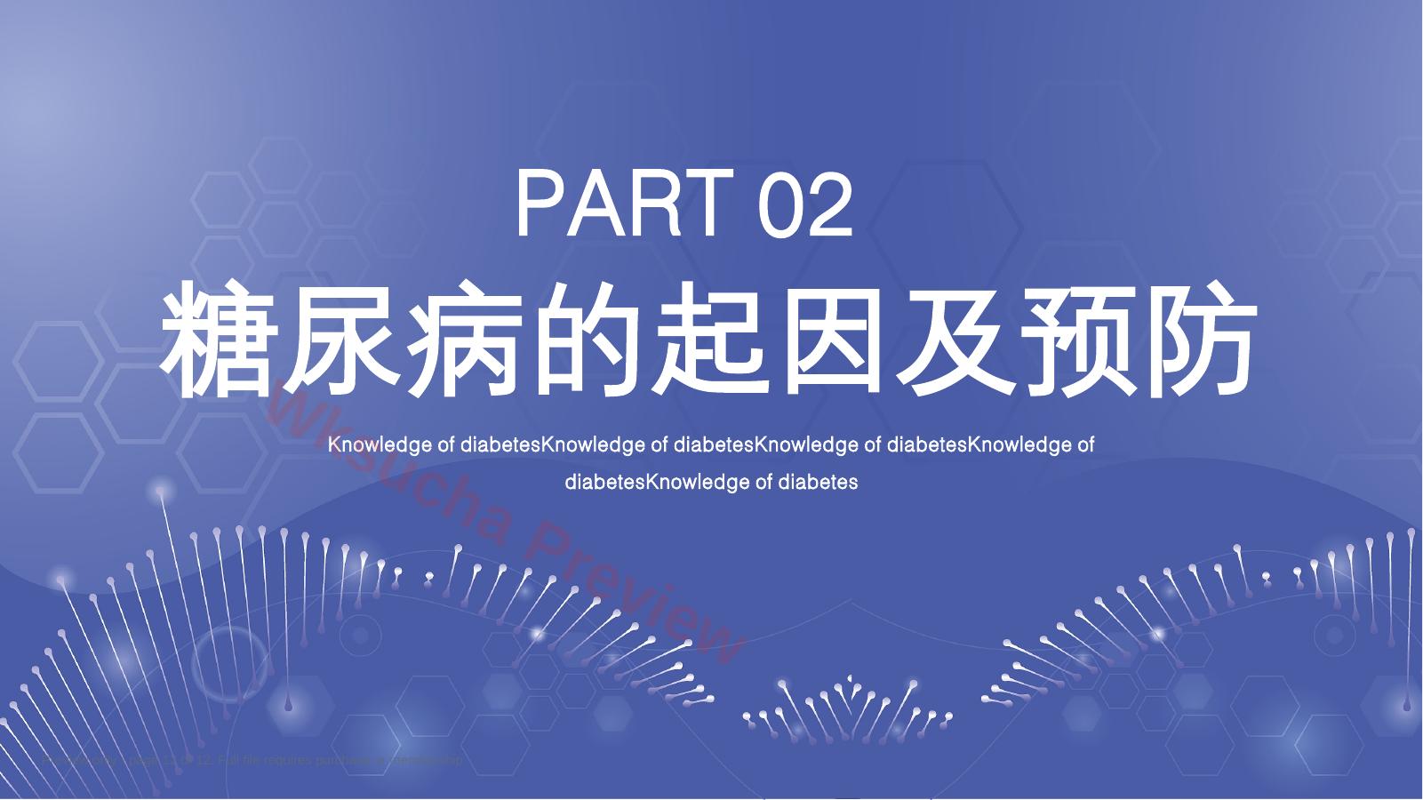 预览第 12 页