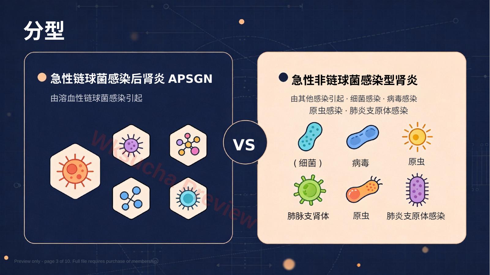 预览第 3 页