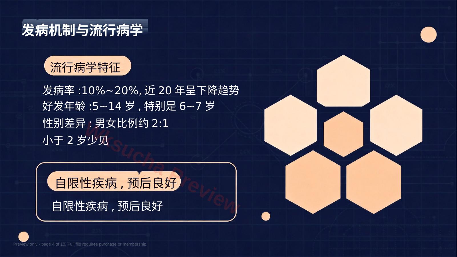 预览第 4 页