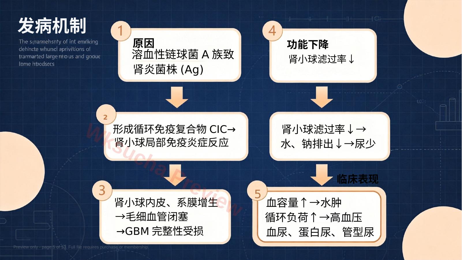 预览第 5 页