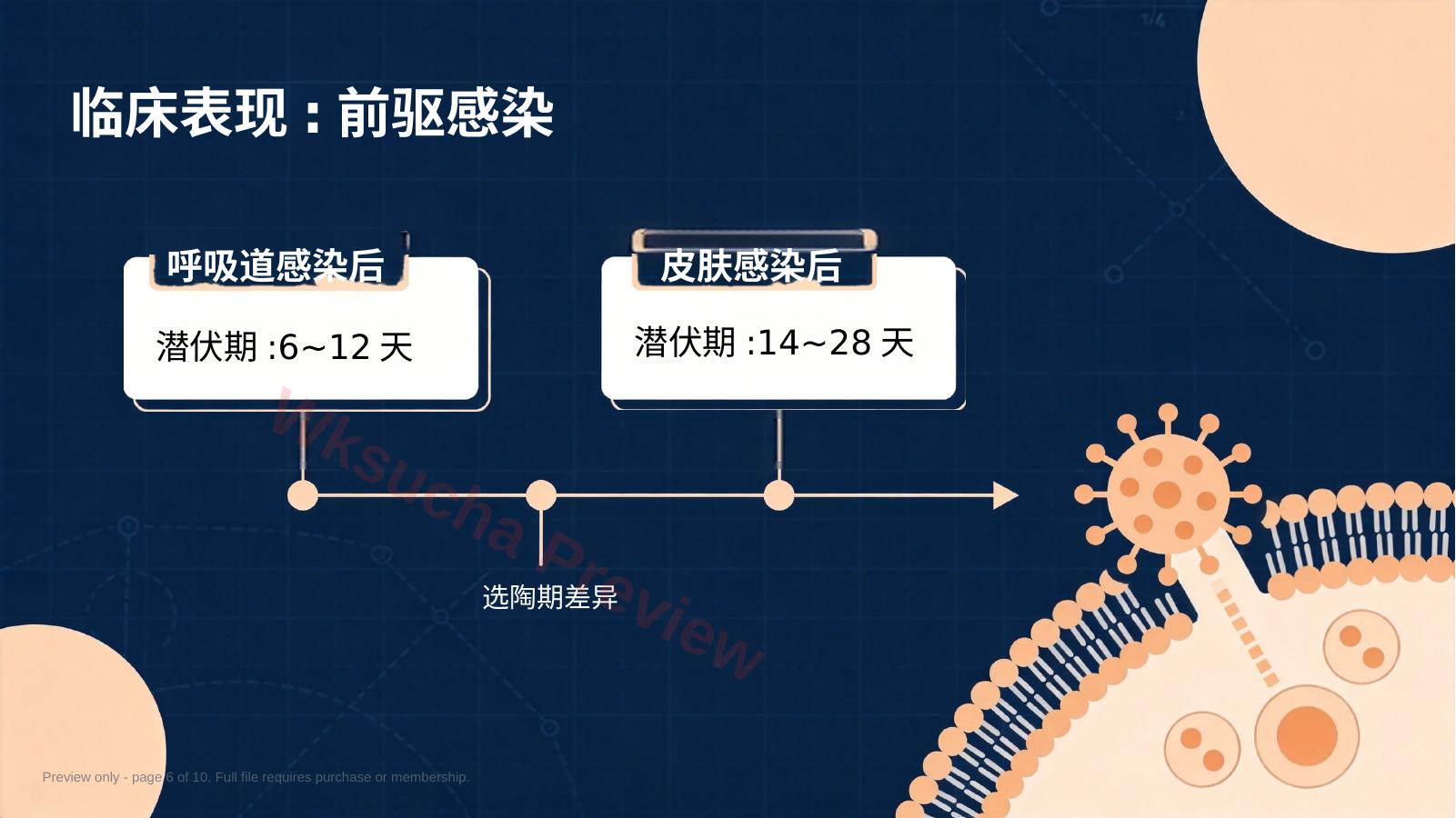 预览第 6 页