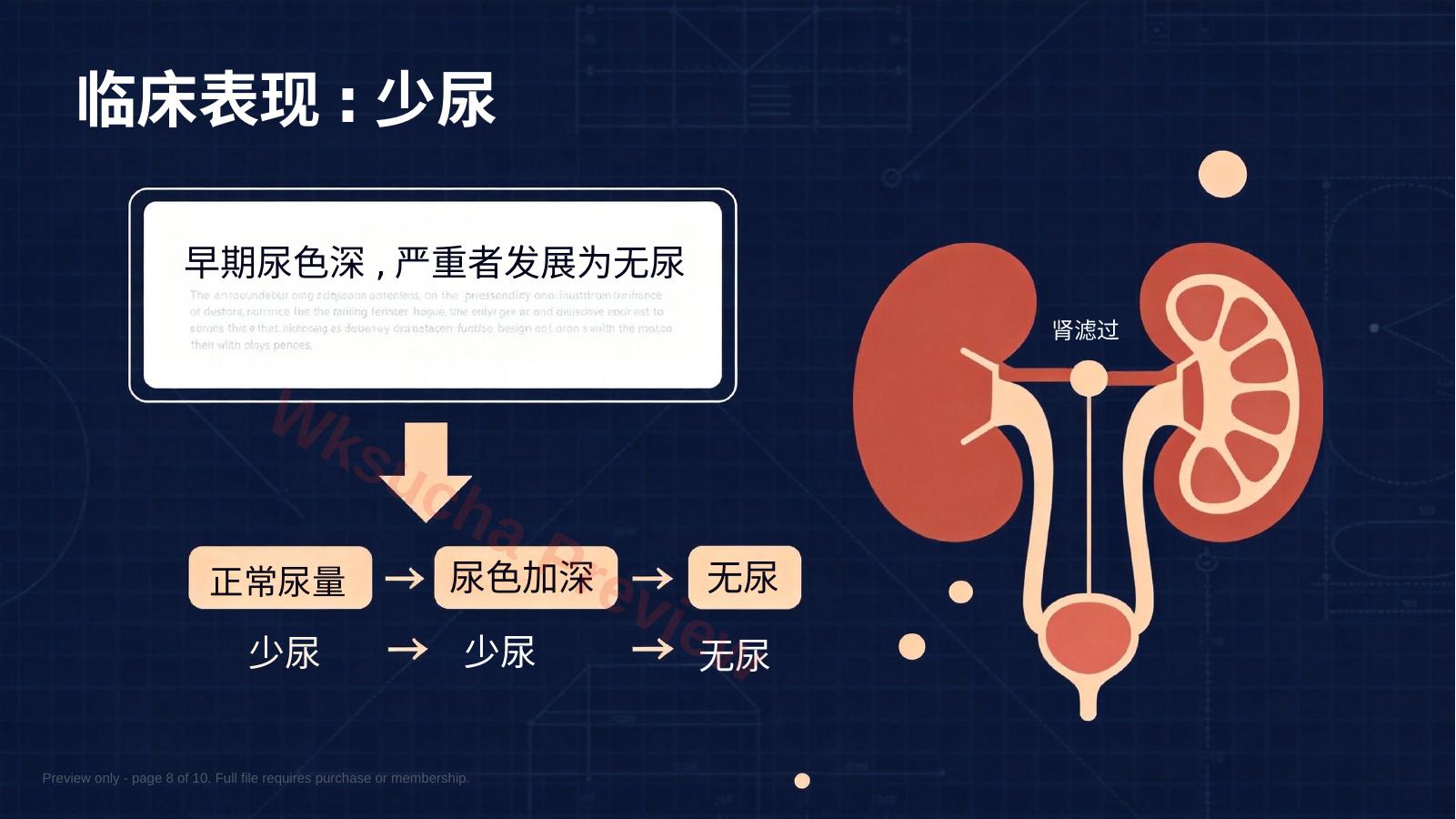 预览第 8 页