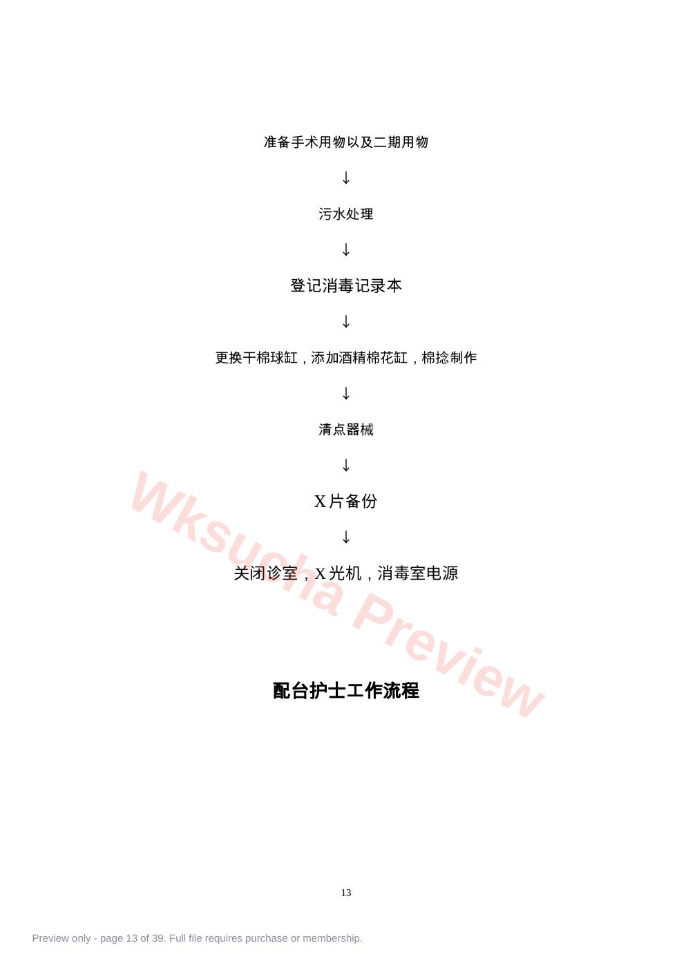 预览第 13 页