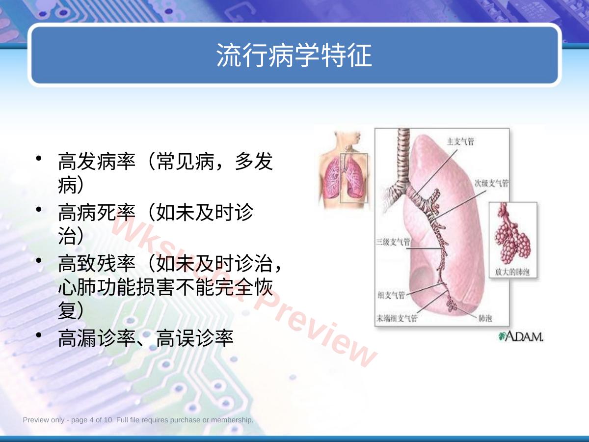 预览第 4 页