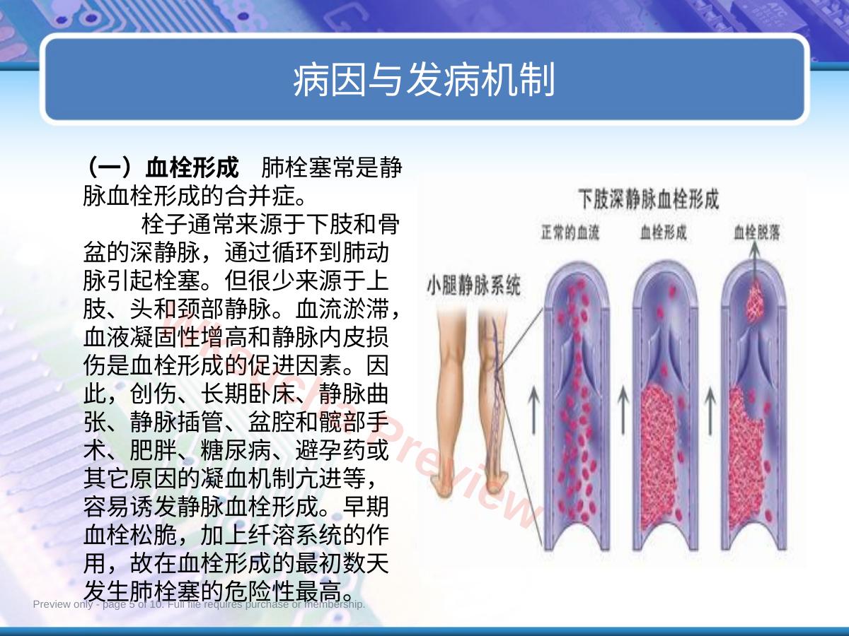 预览第 5 页