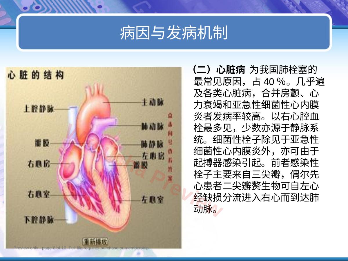 预览第 6 页
