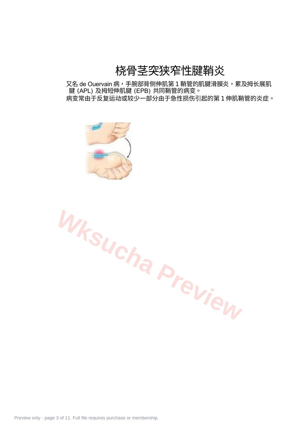 预览第 3 页