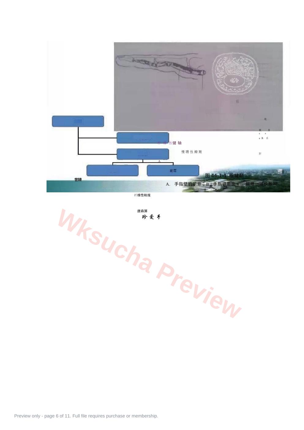 预览第 6 页