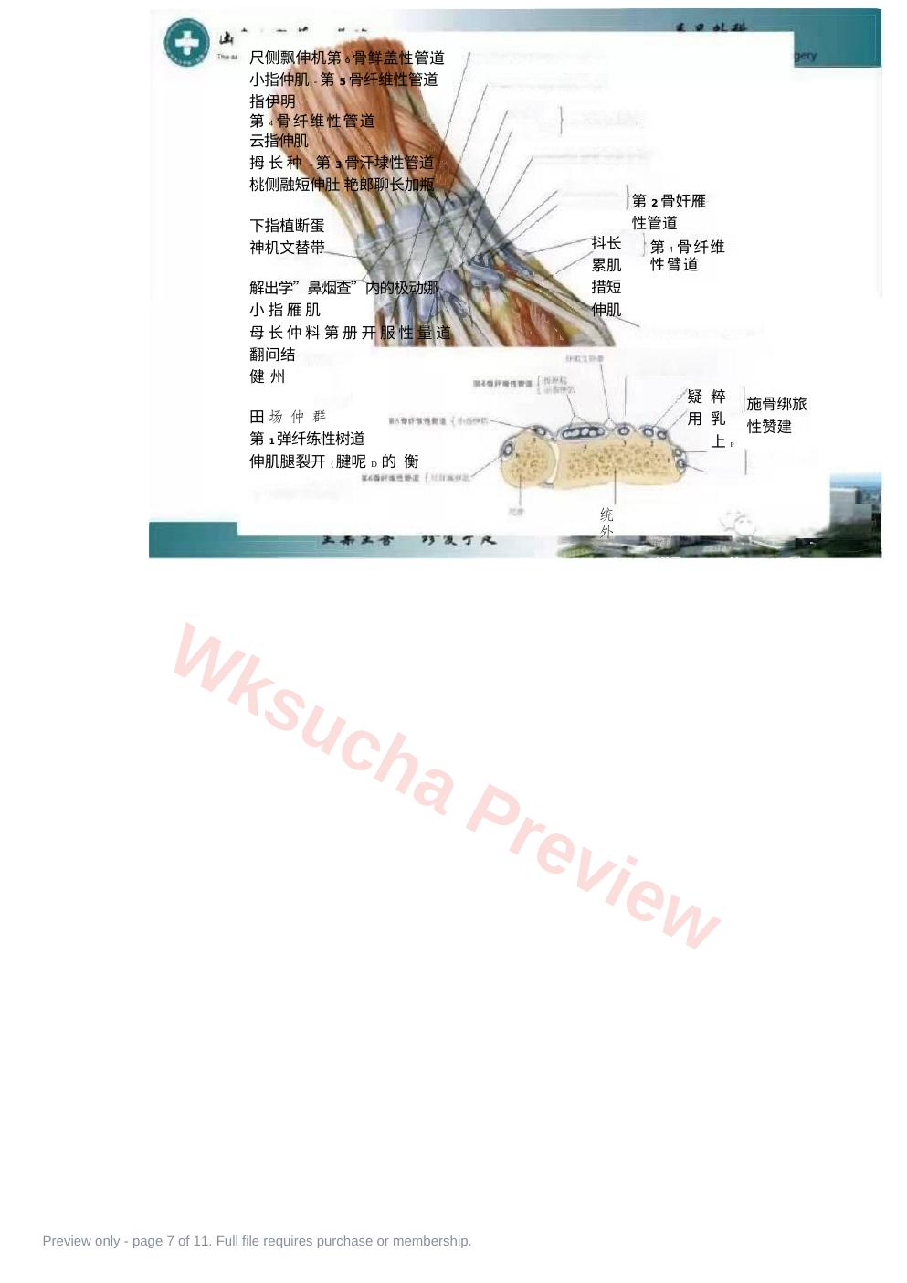 预览第 7 页