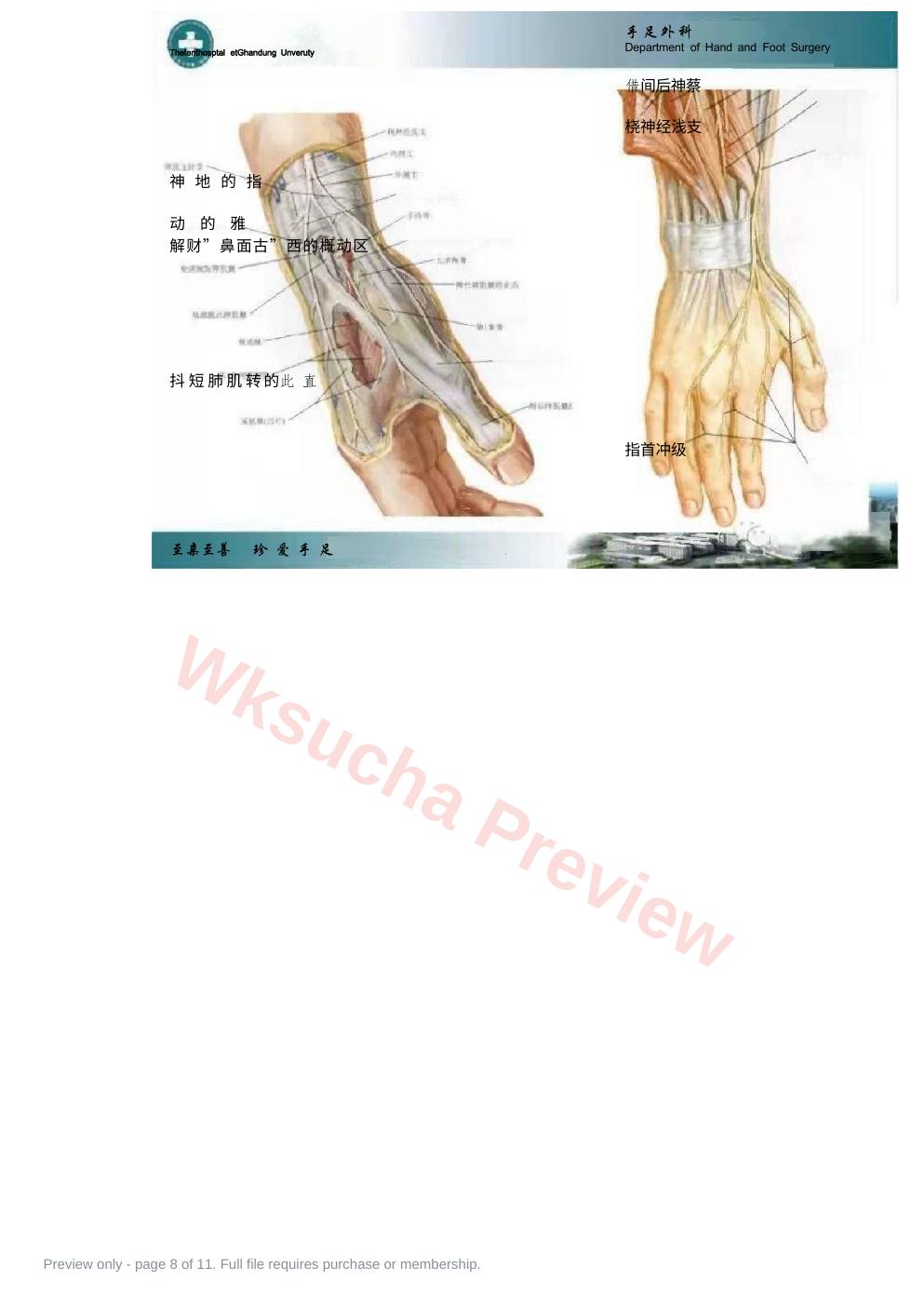 预览第 8 页